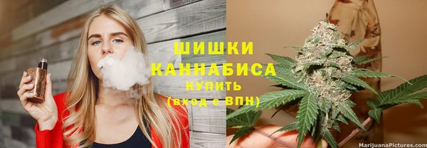 гидра Чердынь