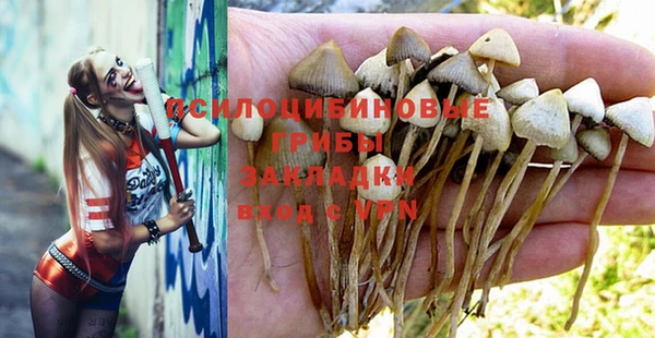 кристаллы Чекалин