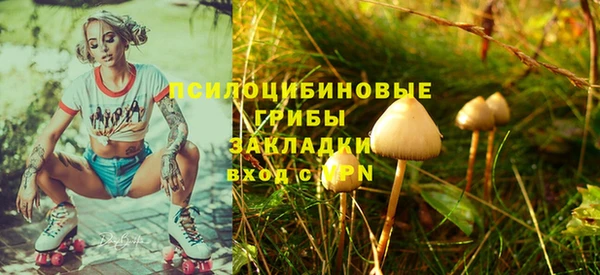 хмурый Куртамыш