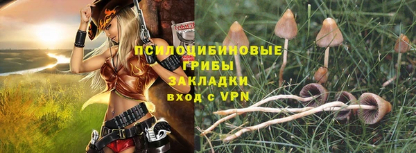 кристаллы Чекалин