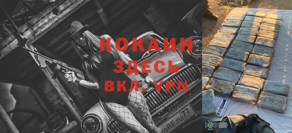 гидра Чердынь