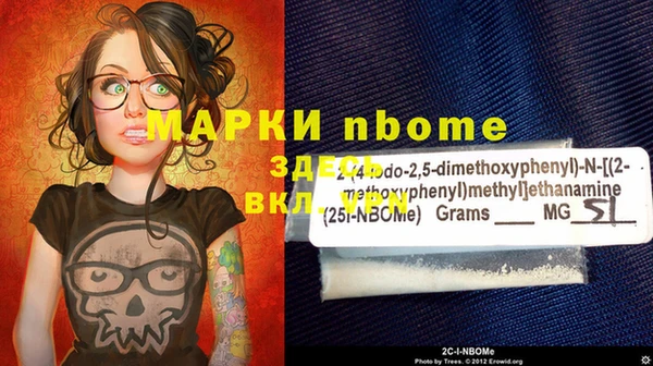 гидра Чердынь